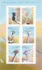 BUSTARDS - NAMBIA- 2010- Namibia-Vögel-Trappen- Namibie-oiseaux-Outardes - Autruches