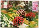 FRANCE Carte Maximum FLORALIES INTERNATIONALES D´ORLEANS 10/11/1967. Yvert 1528 2 Scans - Sonstige & Ohne Zuordnung