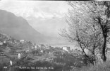 Glion Et Les Dents Du Midi - Ilanz/Glion