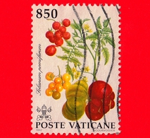 VATICANO  - Usato -  1992 - Flora Del Nuovo Mondo - 850 L. - Solanum Pomiferum - Used Stamps