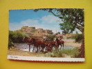 TAOS PUEBLO IN THE SPRINGTIME TAOS - Andere & Zonder Classificatie