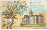 USA, State Capitol, Cheyenne, Wyoming, 1909 Used Postcard [10246] - Cheyenne