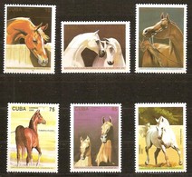 Cuba 1995 Yvertn° 3455-3460 *** MNH Cote 12,50 Euro Faune Chevaux Horses Paarden - Ungebraucht