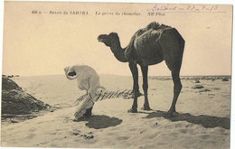 La Prière Du Chamelier     Dans Le SAHARA - Africa