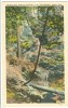 USA, Maiden Hair Falls On Trail No. 3 At "The Shades" Scenic Park, Unused Linen Postcard [10286] - Autres & Non Classés