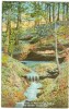 USA, Umbrella Falls In Frisz Ravine, Trail 4 "The Shades" Scenic Park, Unused Postcard [10287] - Other & Unclassified