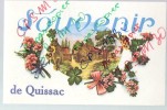 30 Gard - Cpsm Carte Fantaisie QUISSAC, Souvenir Bonjour Amitiés De .....(neuf Cartes Differentes) - Quissac