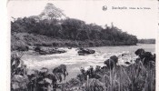 STANLEYVILLE / CHUTES DE LA TSHOPO - Congo Belge