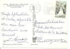 N°1764 LETTRE BORMES LES MIMOSAS  Vers FONTENAY Le 03 SEPTEMBRE 1974 - Lettres & Documents