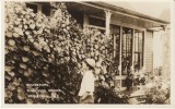 Skagway AK Alaska, Blanchard Garden Nasturtiums & Boy, C1910s/20s Vintage Real Photo Postcard - Other & Unclassified