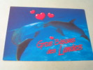 GROS BISOUS DES LANDES......... - Dauphins