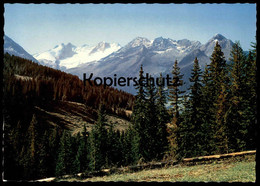 ÄLTERE POSTKARTE BLICK VON DER GERLOSSTRASSE GEGEN WILDGERLOSSPITZE GERLOS TIROL AUSTRIA Col Mountain Pass Cpa Postcard - Gerlos