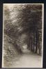 RB 872  -  Early Real Photo Postcard - Rudyard Near Leek Staffordshire - Other & Unclassified