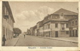 PORTUGAL - MANGUALDE -  AVENIDA CENTRAL 1930 PC. - Viseu