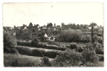 Tannay (58) : Vue Générale En 1950. - Tannay