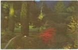 Canada, Sunken Gardens, Illuminated, The Butchart Gardens, Victoria, BC, Unused Postcard [10300] - Victoria