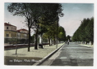 FOLIGNO - Viale Mezzetti - Cartolina FG BR V 1953 - Foligno