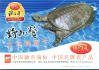 Turtle  ,  Prepaid Card Postal Stationery - Schildpadden