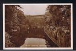 RB 875 - Real Photo Postcard - Valley Gardens Scarborough Yorkshire - Scarborough