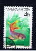 H+ Ungarn 1987 Mi 3881 Zierfisch - Used Stamps