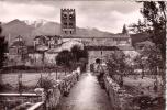 C 7172 - PRADES - 66 - Saint Michel De Cuxa - Potager Au Cloitre -  Belle CP - - Prades