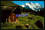 Wengen -  Die Jungfrau   -  Réf : 25695 - Wengen