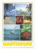 Cp, Martinique, Multi-Vues, Voyagée 1988 - Autres & Non Classés