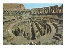 Cp, Italie, Rome, Intérieur Colosseo - Coliseo