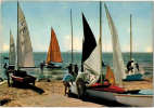 Thème - Sports - Voile - Voiliers - Sailing