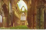 The Abbey -  Tintern - Monmouthshire