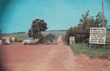 Moncton New Brunswick - Magnetic Hill Vers 1955s -  Cars Voitures - Unused Neuve - Otros & Sin Clasificación