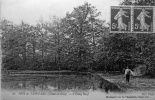 Foret De Saint Leu, L´étang Neuf - Saint Leu La Foret