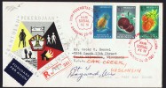 1961  4th Social Day  Fruits  FDC - Indonesia