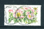 IRELAND  -  2004  Flower Definitives  5 Euro  26 X 47mm  FU  (stock Scan) - Oblitérés