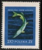 POLAND    Scott #  812**  VF MINT NH - Ongebruikt