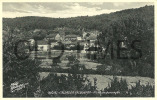 PORTUGAL - NELAS - CALDAS DE FELGUEIRAS - VISTA DA POVOACAO - 1940 PC - Viseu