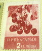 Bulgaria 1956 Fruits Cherries 2s - Used - Usati