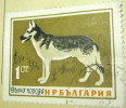 Bulgaria 1964 Dogs Alsatian 1s - Used - Usados