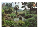 Cp, Angleterre, Bournemouth, Lily Pond, Central Gardens - Bournemouth (a Partire Dal 1972)