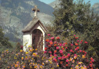 Carte Postale 26. Chatillon  Notre Dame Des Roses  La Chapelle Trés Beau Plan - Châtillon-en-Diois