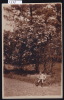 Genève - Chêne ( Chêne-Bourg ? ) : Carte Photo D´enfant Au Cerceau Sous Un Grand Rosier (?) En 1921 (9338) - Chêne-Bourg