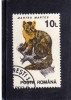 ROMANIA  - ROMANA 1993 FAUNA ANIMALS MARTES - ANIMALI MARTORA USED - Usati