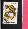 ROMANIA  - ROMANA 1993 FAUNA ANIMALS GENETTA - ANIMALI  USED - Usati