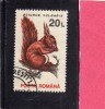 ROMANIA  - ROMANA 1993 FAUNA ANIMALS SCIURUS VULGARIS - ANIMALI SCOIATTOLO USED - Usati