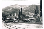 CH-1759    VITZNAU : Abschiedsparade Der Rigi-Dampfrösser - Vitznau