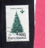 ROMANIA  - ROMANA 1994 FLORA TREES PICEA ABIES TREE - ALBERI ABETE  ALBERO USED - Usati