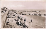 Bognor Regis  The Sands   365 - Bognor Regis