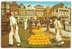 Netherlands, The Cheese-market Of Alkmaar, Used Postcard [10458] - Alkmaar