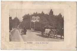 Orthez Avenue Du Pont Neuf - Orthez