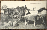 Albania, Kujtim Nga Shqypenia, Albanian Peasants, Marubbi - Albanien